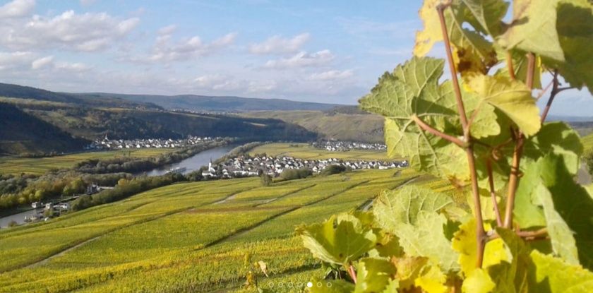 Kurz mal an die Mosel