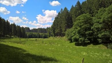 Hotels, Campingplätze und Ferienwohnungen in der Ferienregion Hochsauerland