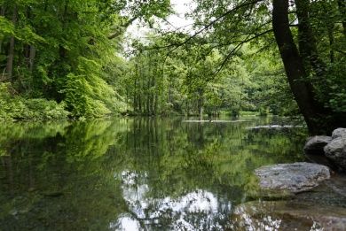 Hotels, Campingplätze und Ferienwohnungen in Brilon