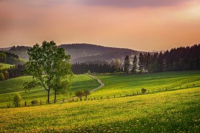 Hotels, Campingplätze und Ferienwohnungen in Marsberg Hotels, Campingplätze und Ferienwohnungen in Marsberg