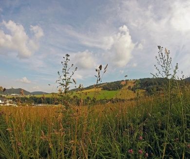 Willingen Upland