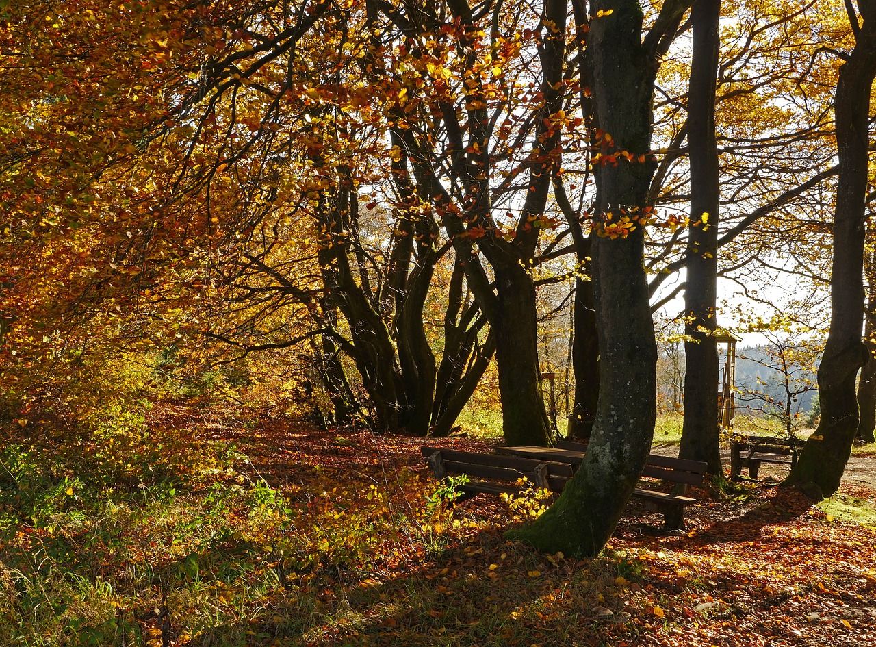 Hotels, Campingplätze und Ferienwohnungen in Lennestadt