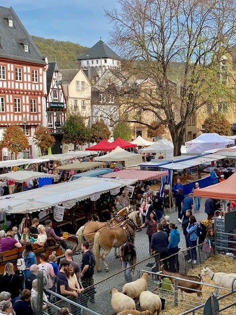 Bauernmarkt mit verkaufsoffenen Sonntag Bauernmarkt mit verkaufsoffenen Sonntag