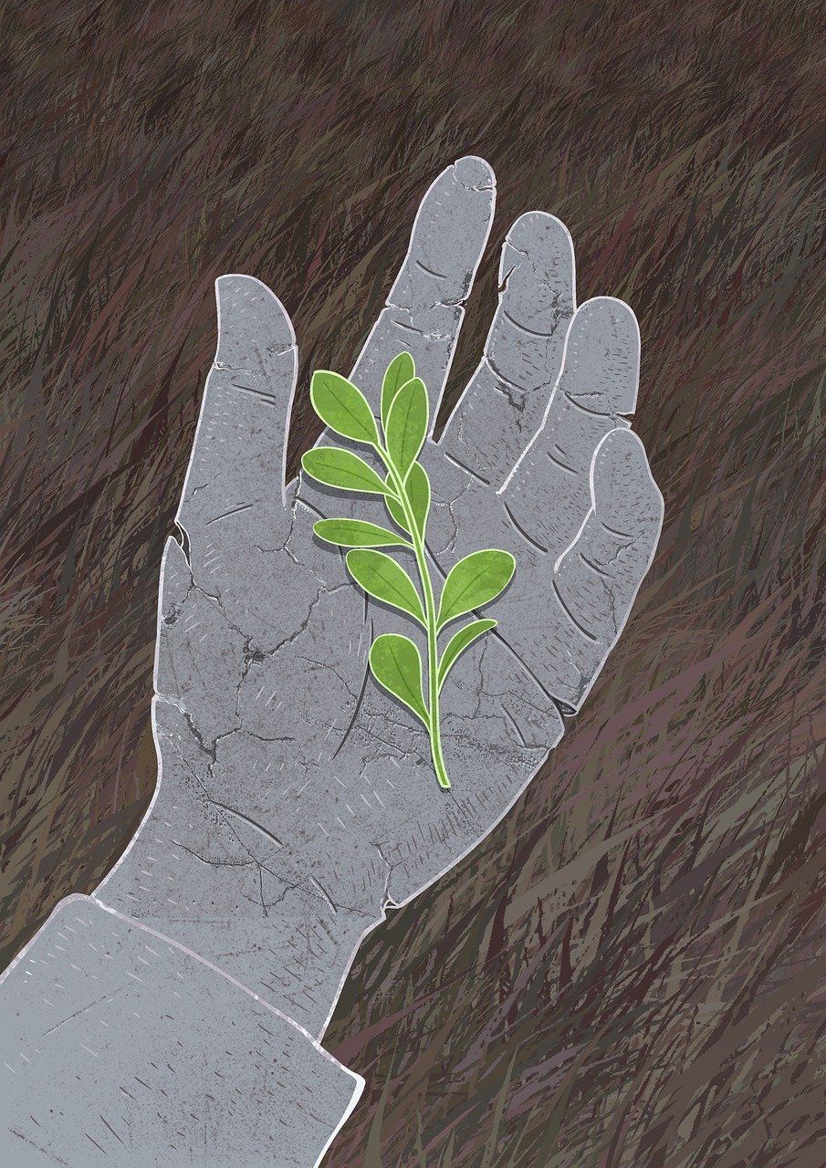 Schaufenster zur Fairen Woche