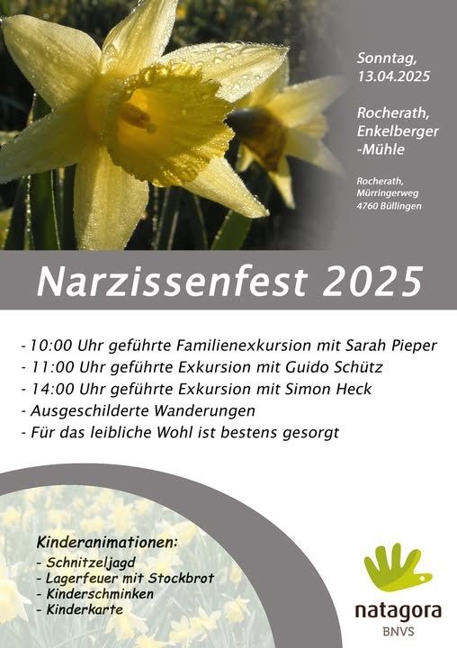 Narzissenfest in Büllingen