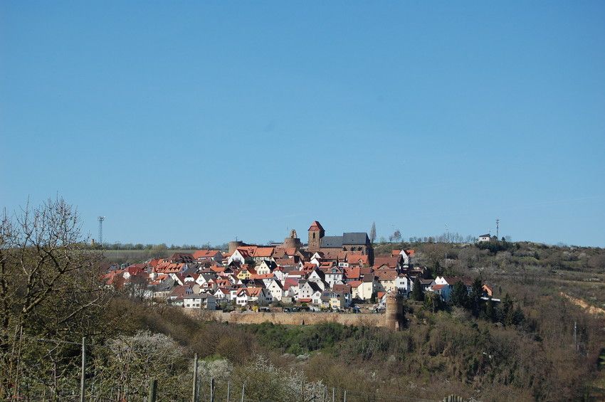 Burg-Weinfest in Neuleiningen