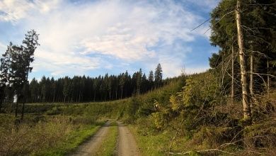 esselsteig.jpg