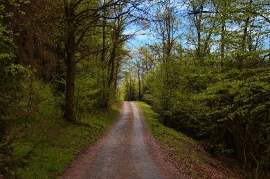 Kindelsbergpfad Kindelsbergpfad
