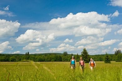 Soonwaldsteig