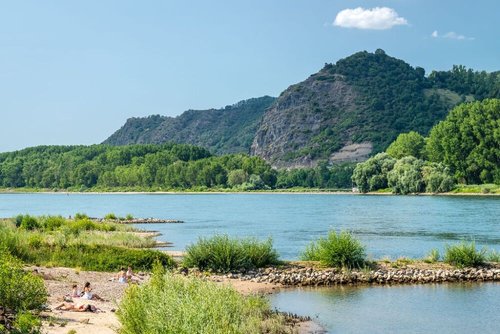 Traumpfädchen Kleiner Stern